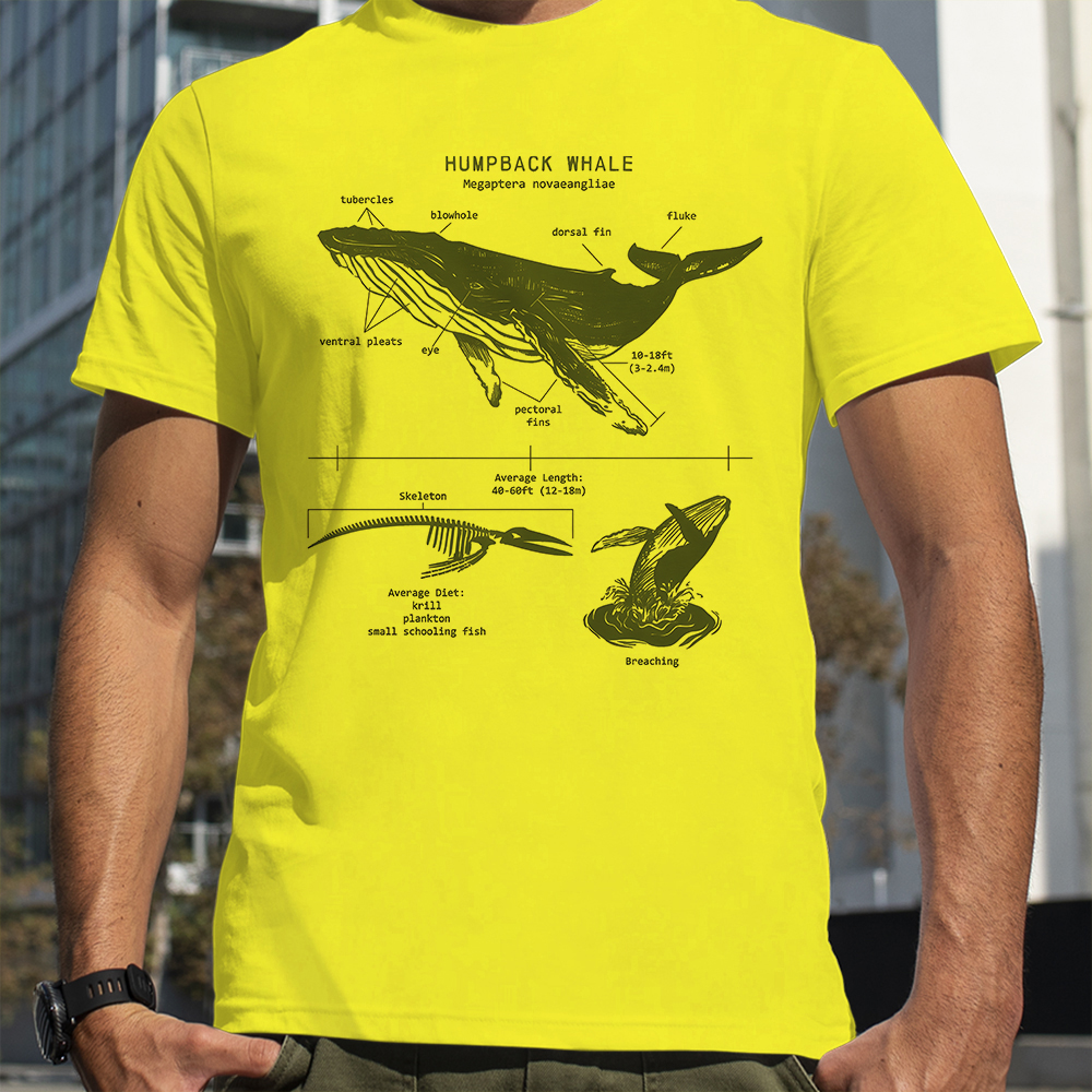 Humpback Whale Anatomy Shark L - Street Fashion Loverboy recensie en prijs