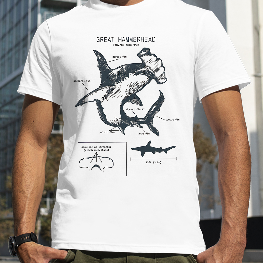 Hammerhead Shark Anatomy Shark - Street Fashion Loverboy recensie en prijs
